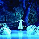 Best Classical Ballets at Grand Mikhailovsky Theatre
Click to enlarge